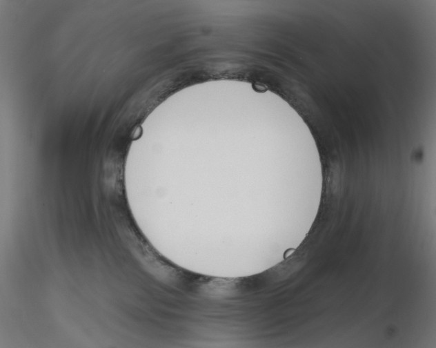 X0000116110138200912211640