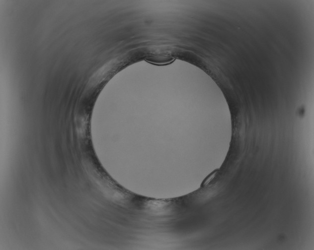 X0000116110139200912211640
