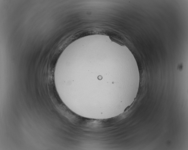 X0000116110140200912211640