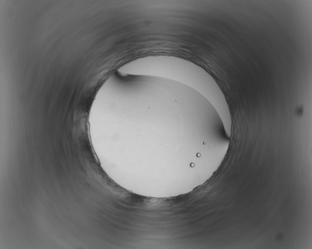 X0000116110141200912211640