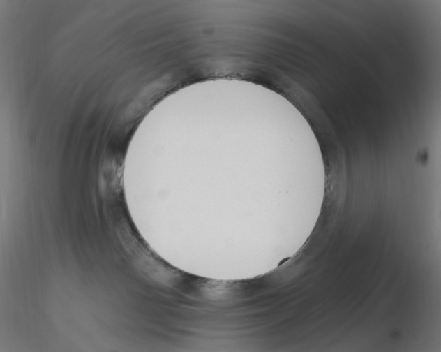X0000116110142200912211640