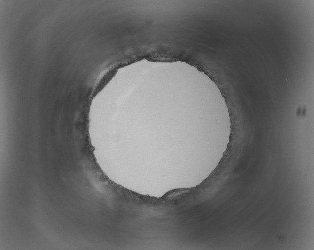 X0000116110144200912211640