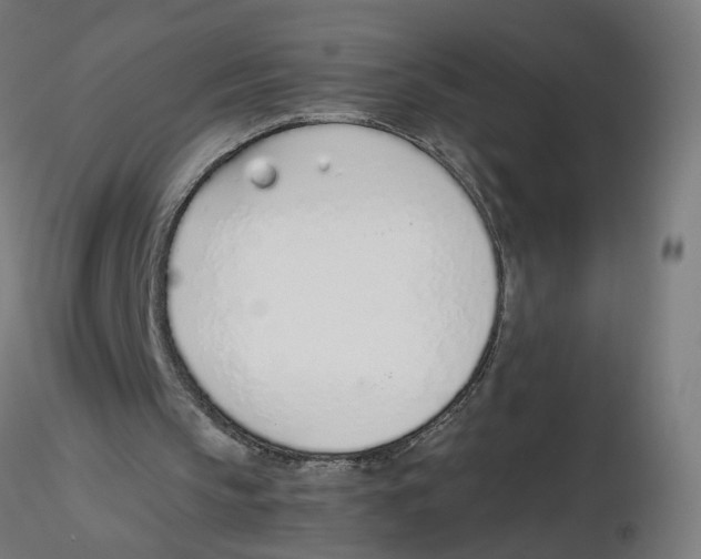 X0000116110145200912211640