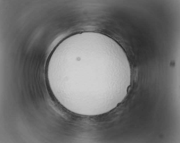 X0000116110147200912211640