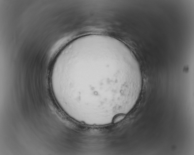 X0000116110149200912211640