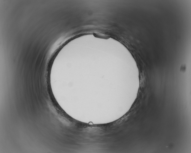 X0000116110150200912211640