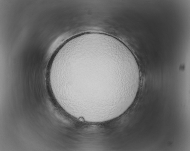 X0000116110151200912211640