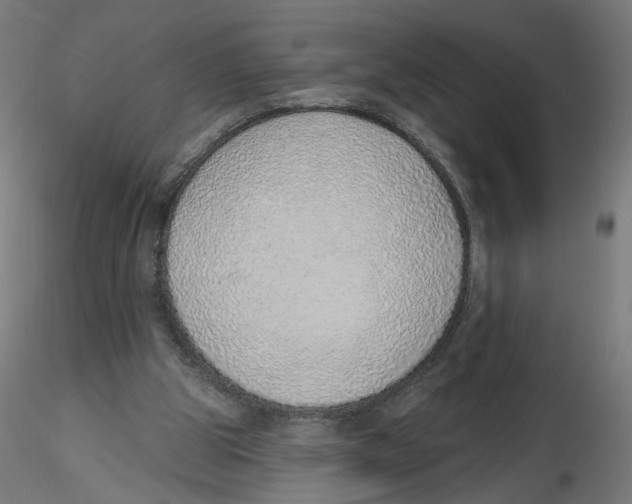 X0000116110153200912211640