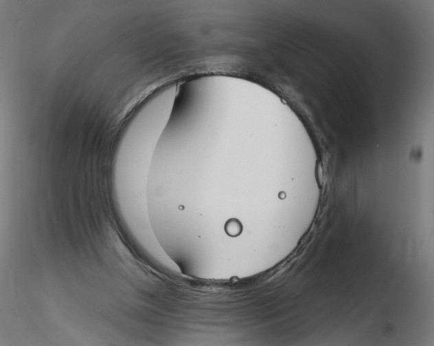 X0000116110154200912211640