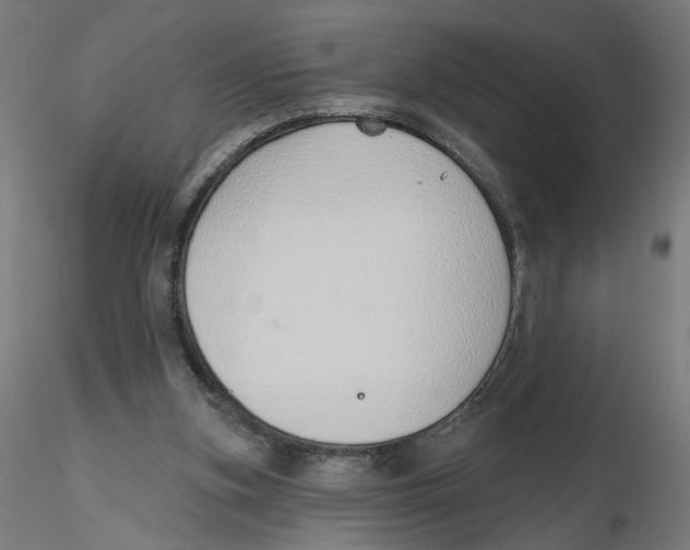 X0000116110155200912211640