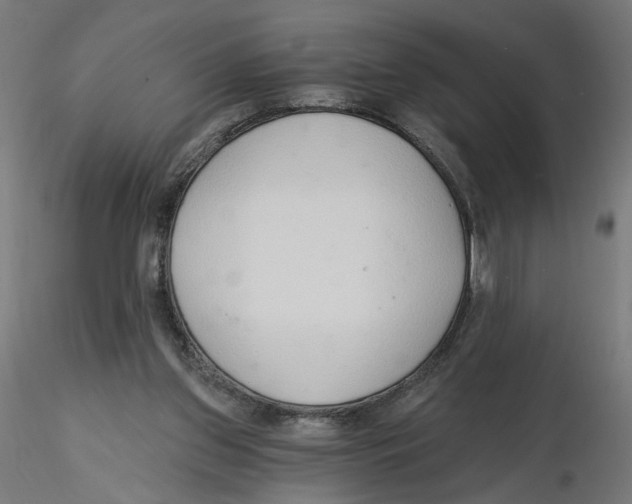 X0000116110157200912211640