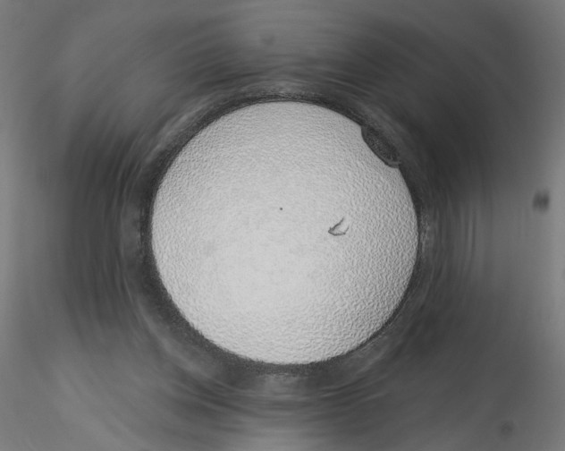 X0000116110158200912211640