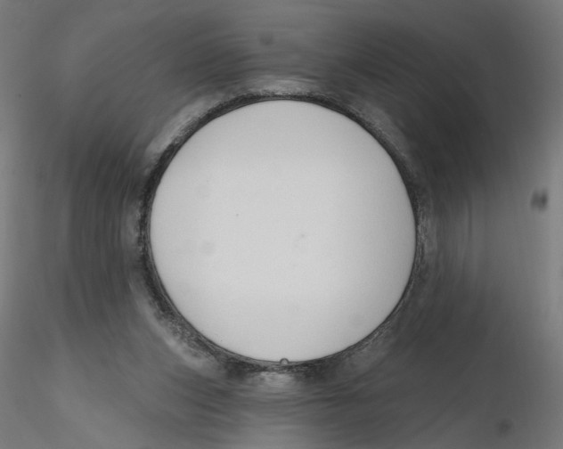 X0000116110159200912211640