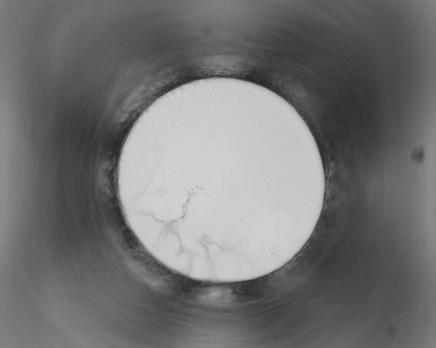 X0000116110162200912211640