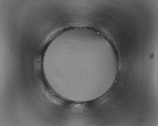 X0000116110163200912211640