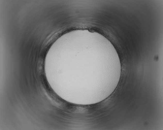 X0000116110166200912211640