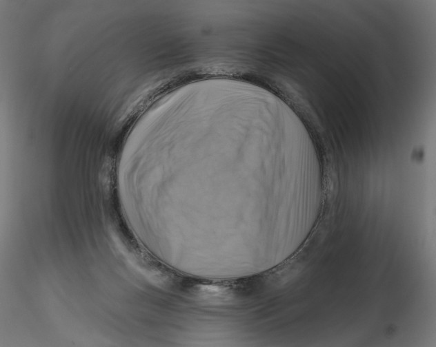 X0000116110167200912211640