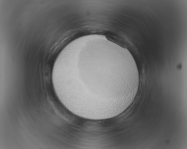 X0000116110170200912211640