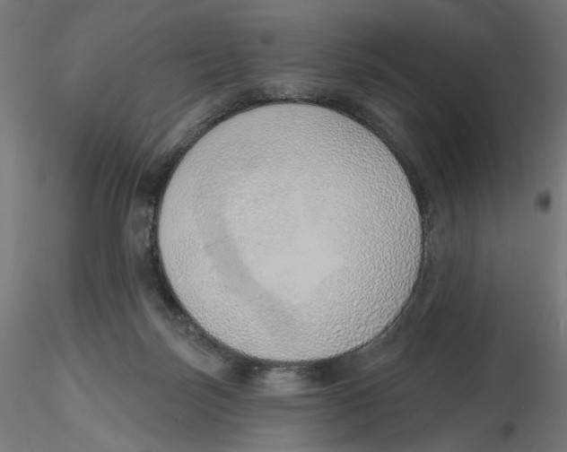 X0000116110171200912211640