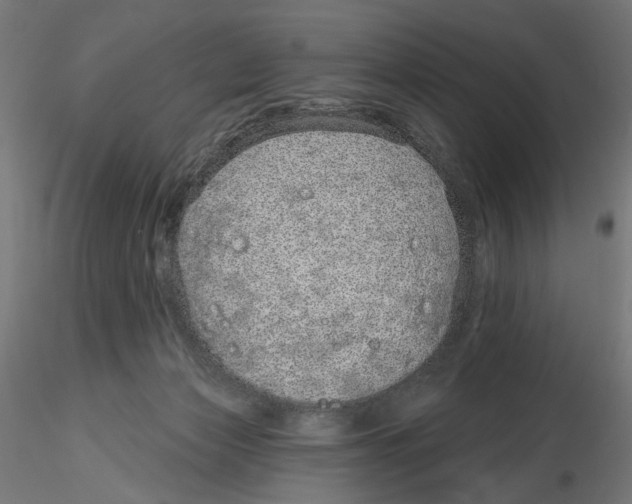X0000116110173200912211640