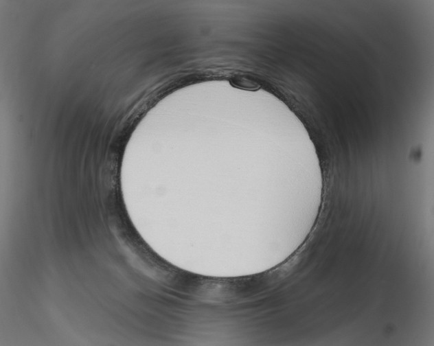 X0000116110174200912211640