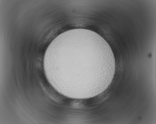 X0000116110175200912211640