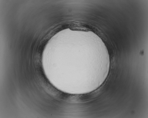 X0000116110178200912211640