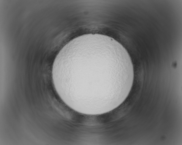 X0000116110181200912211640
