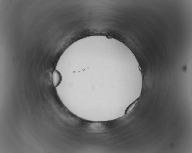 X0000116110183200912211640