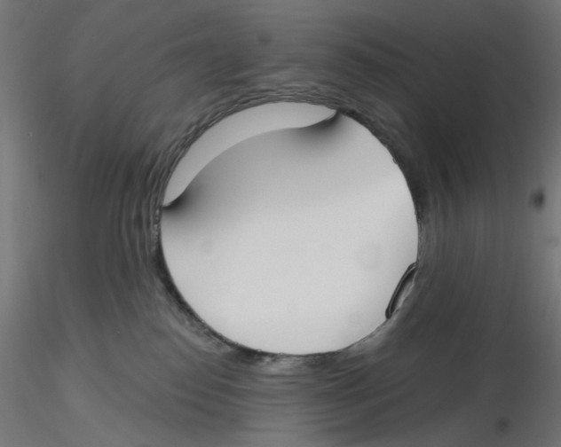 X0000116110186200912211640