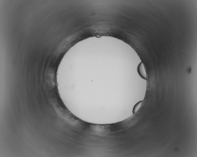X0000116110187200912211640