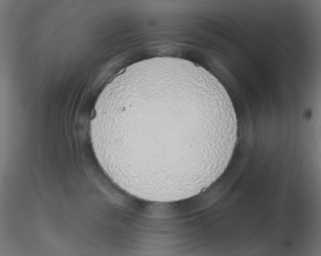 X0000116110189200912211640