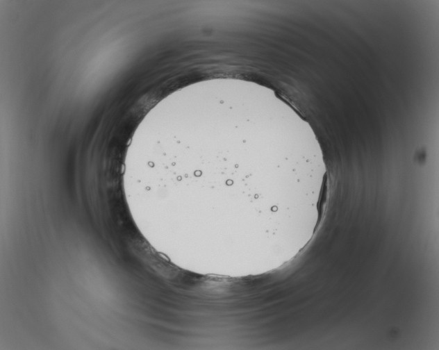 X0000116110190200912211640