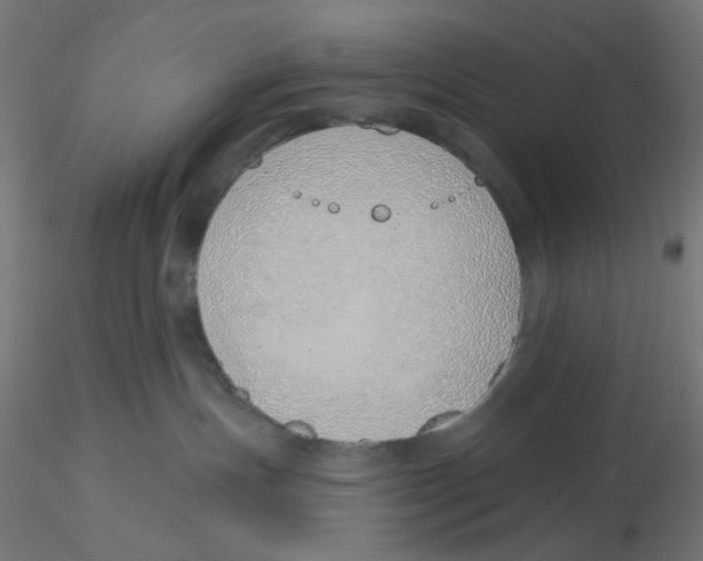X0000116110191200912211640