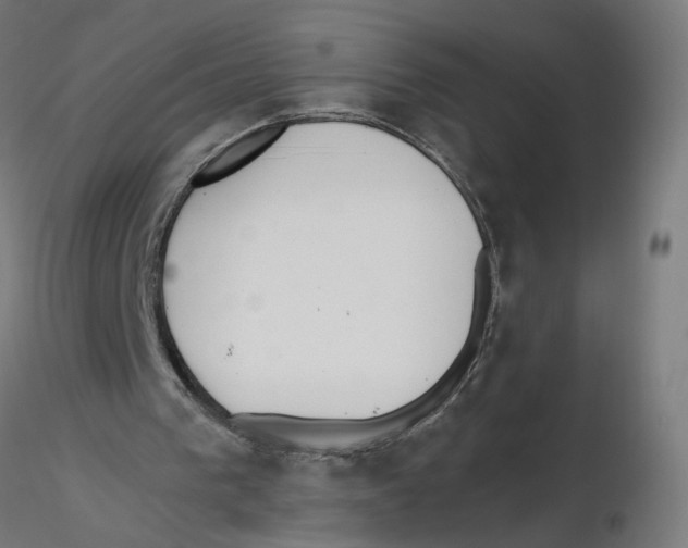 X0000116110193200912211640