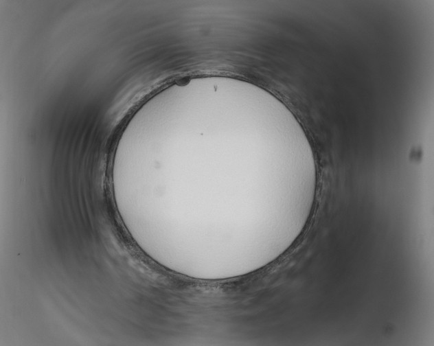 X0000116110194200912211640