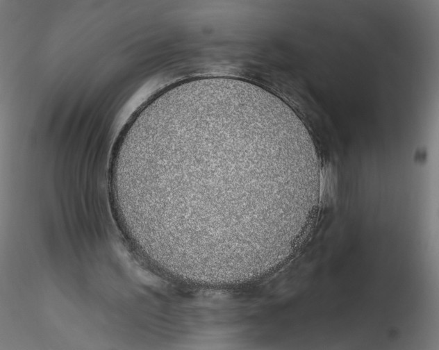 X0000116110195200912211640