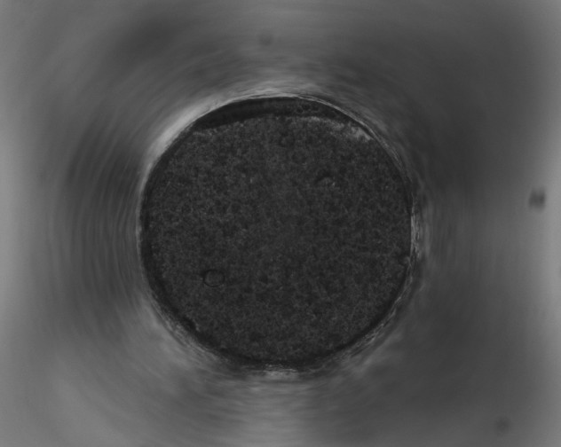 X0000116110196200912211640