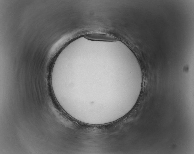 X0000116110197200912211640