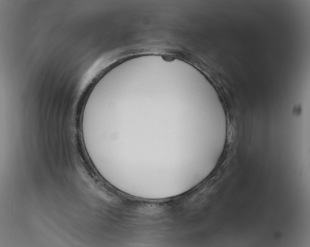 X0000116110198200912211640