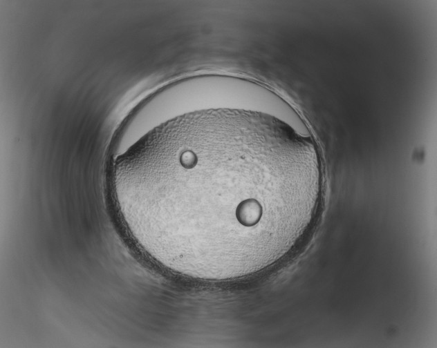 X0000116110199200912211640