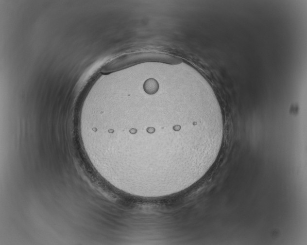 X0000116110200200912211639
