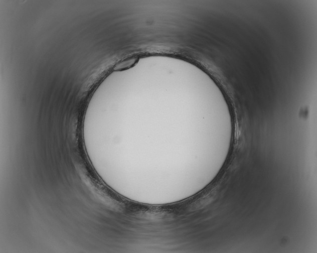 X0000116110201200912211639
