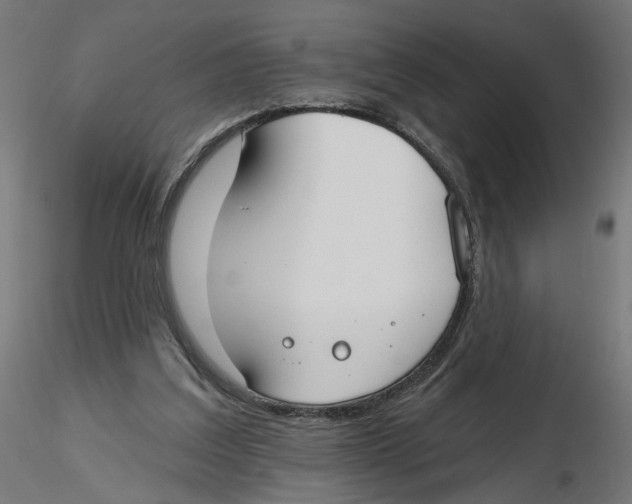 X0000116110203200912211639