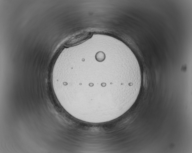 X0000116110204200912211639