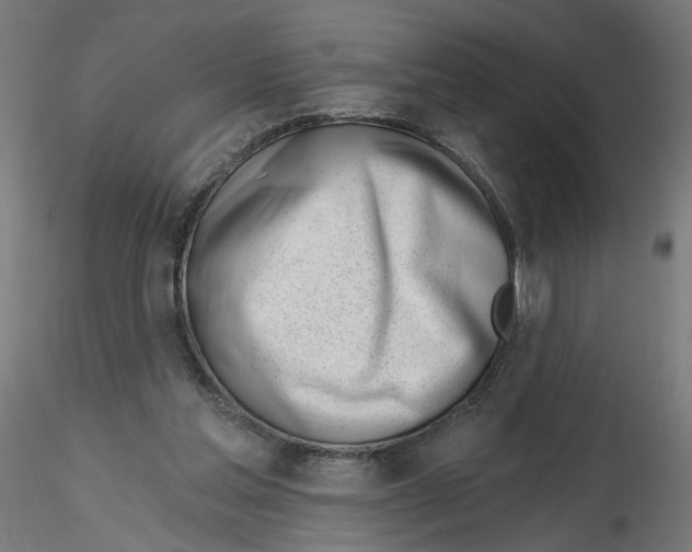 X0000116110205200912211639