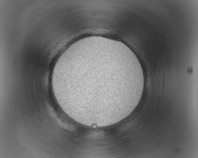 X0000116110206200912211639