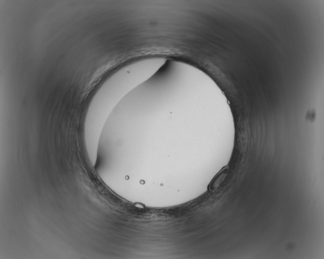 X0000116110207200912211639