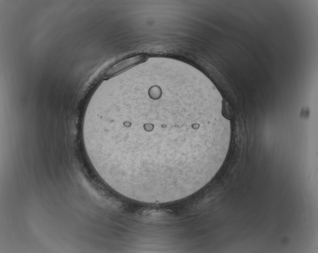 X0000116110208200912211639
