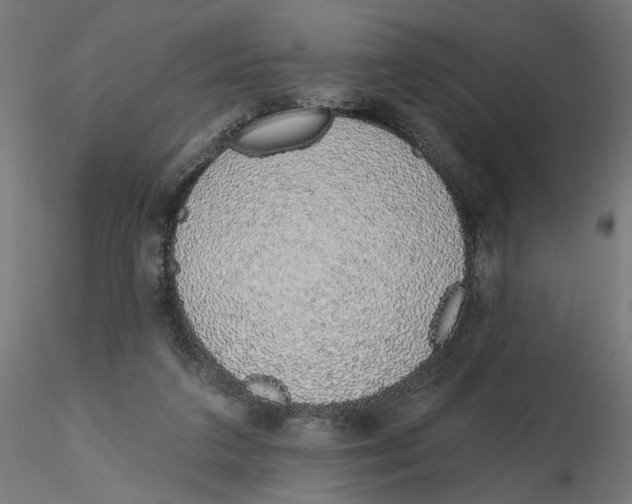 X0000116110211200912211639